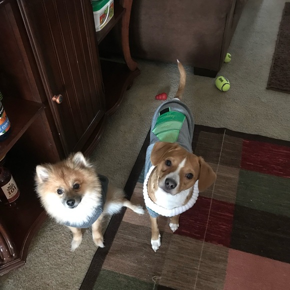 💕💕LIVE SHOW UNLISTED ITEMS💕💕 - Picture 9 of 12